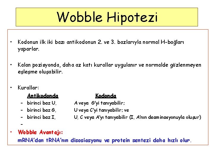 Wobble Hipotezi • Kodonun ilk iki bazı antikodonun 2. ve 3. bazlarıyla normal H-bağları