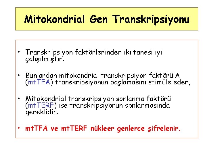 Mitokondrial Gen Transkripsiyonu • Transkripsiyon faktörlerinden iki tanesi iyi çalışılmıştır. • Bunlardan mitokondrial transkripsiyon