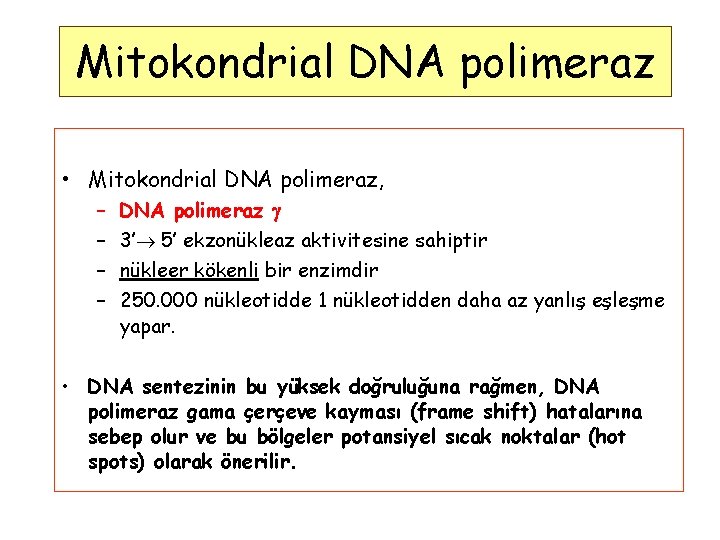 Mitokondrial DNA polimeraz • Mitokondrial DNA polimeraz, – – DNA polimeraz 3’ 5’ ekzonükleaz