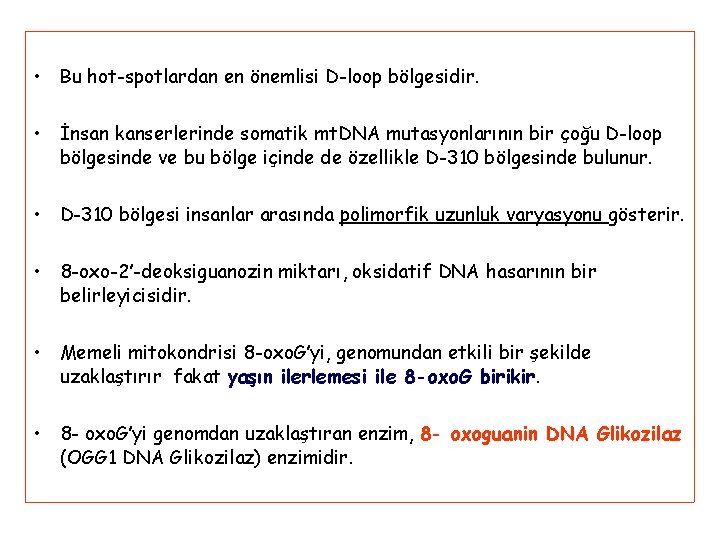  • Bu hot-spotlardan en önemlisi D-loop bölgesidir. • İnsan kanserlerinde somatik mt. DNA