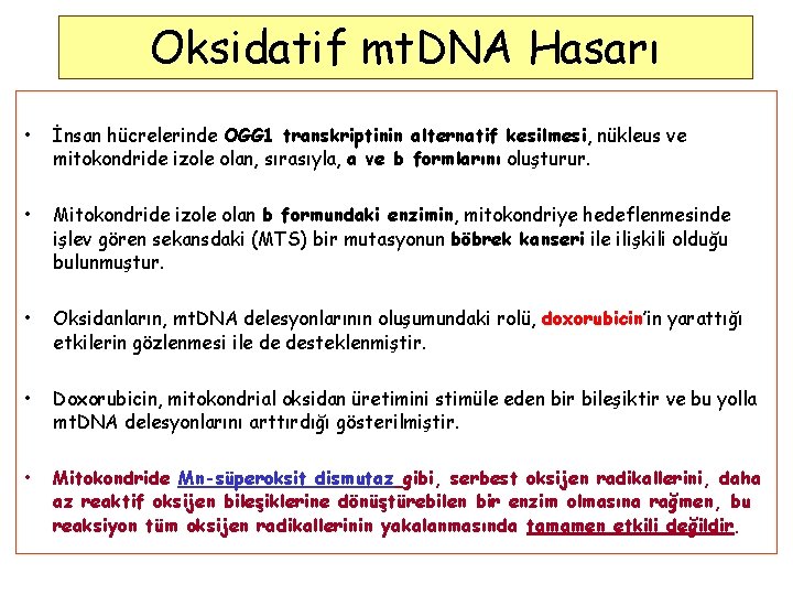 Oksidatif mt. DNA Hasarı • İnsan hücrelerinde OGG 1 transkriptinin alternatif kesilmesi, nükleus ve