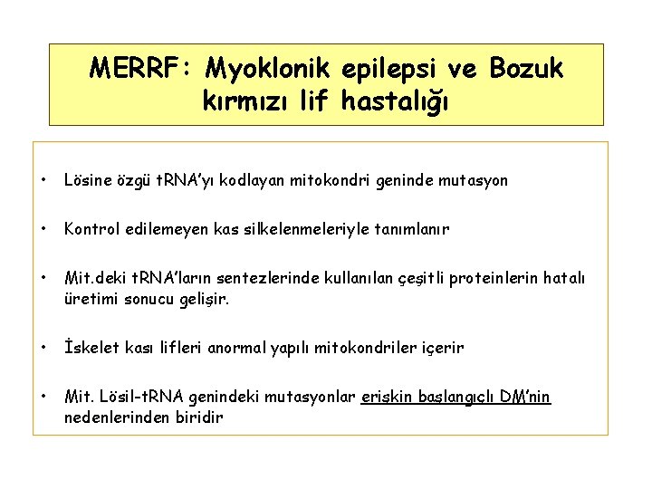 MERRF: Myoklonik epilepsi ve Bozuk kırmızı lif hastalığı • Lösine özgü t. RNA’yı kodlayan