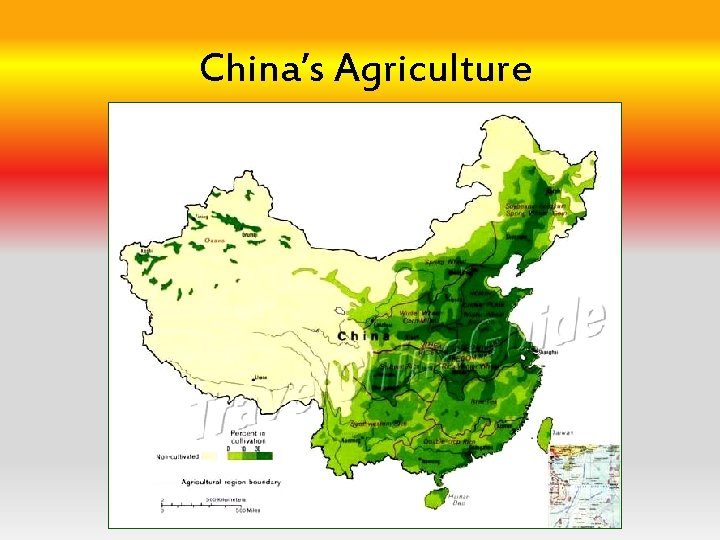 China’s Agriculture 