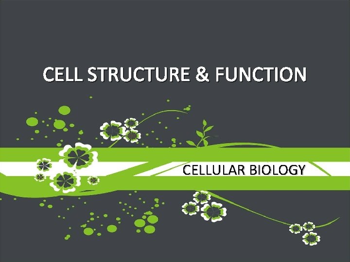 CELL STRUCTURE & FUNCTION CELLULAR BIOLOGY 