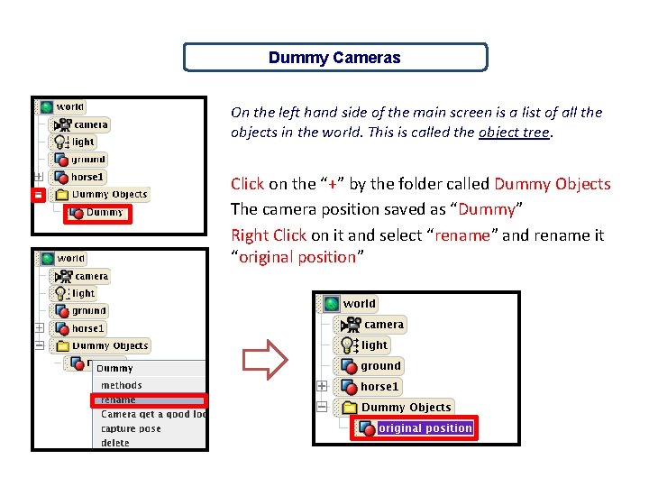Dummy Cameras On the left hand side of the main screen is a list