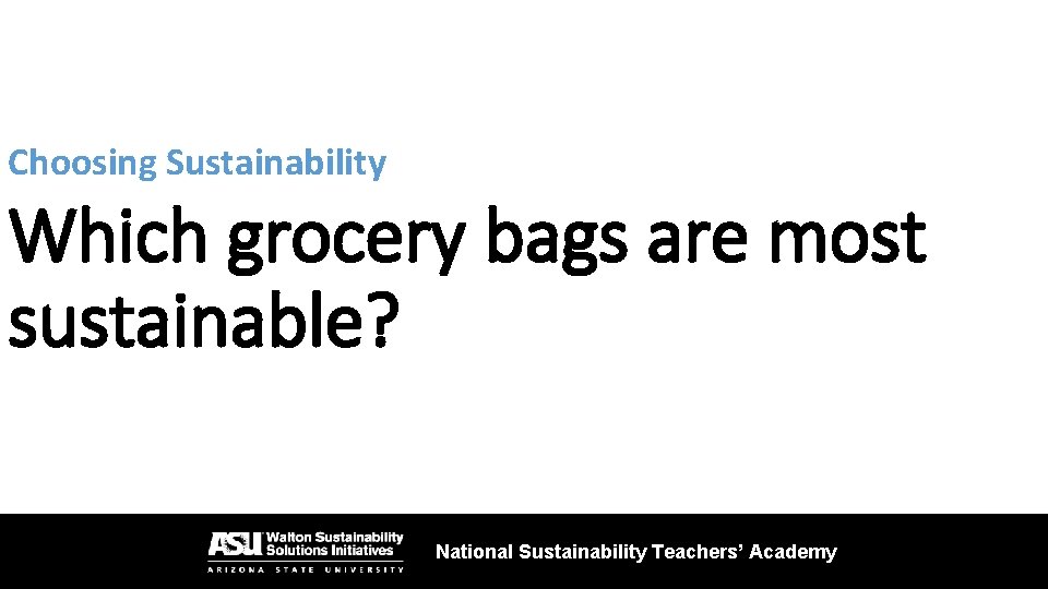 Choosing Sustainability Which grocery bags are most sustainable? National Sustainability Teachers’ Academy 