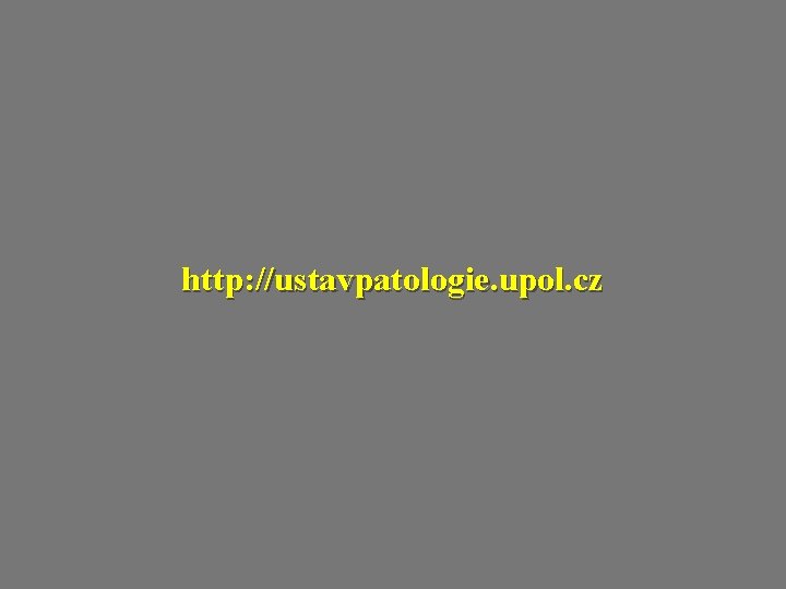 http: //ustavpatologie. upol. cz 