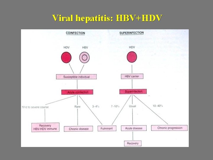 Viral hepatitis: HBV+HDV 