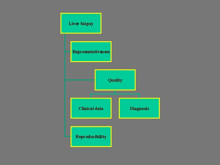 Liver biopsy Representativeness Quality Clinical data Reproducibility Diagnosis 