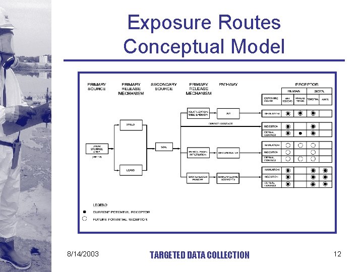 Exposure Routes Conceptual Model 8/14/2003 TARGETED DATA COLLECTION 12 