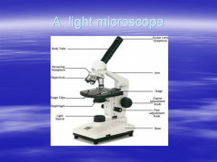 A. light microscope 