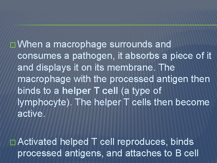 � When a macrophage surrounds and consumes a pathogen, it absorbs a piece of