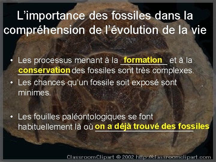 L’importance des fossiles dans la compréhension de l’évolution de la vie formation et à