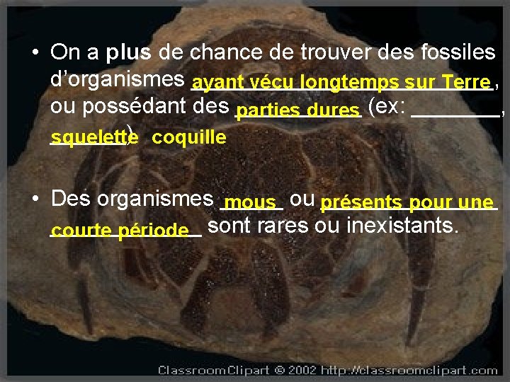  • On a plus de chance de trouver des fossiles d’organismes ____________, ayant