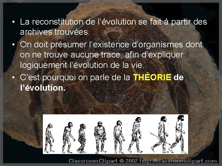  • La reconstitution de l’évolution se fait à partir des archives trouvées. •