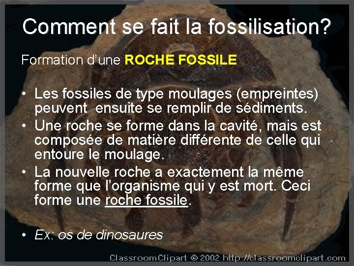 Comment se fait la fossilisation? Formation d’une ROCHE FOSSILE • Les fossiles de type