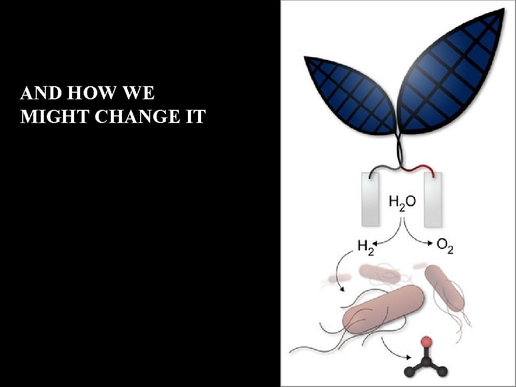 AND HOW WE MIGHT CHANGE IT 