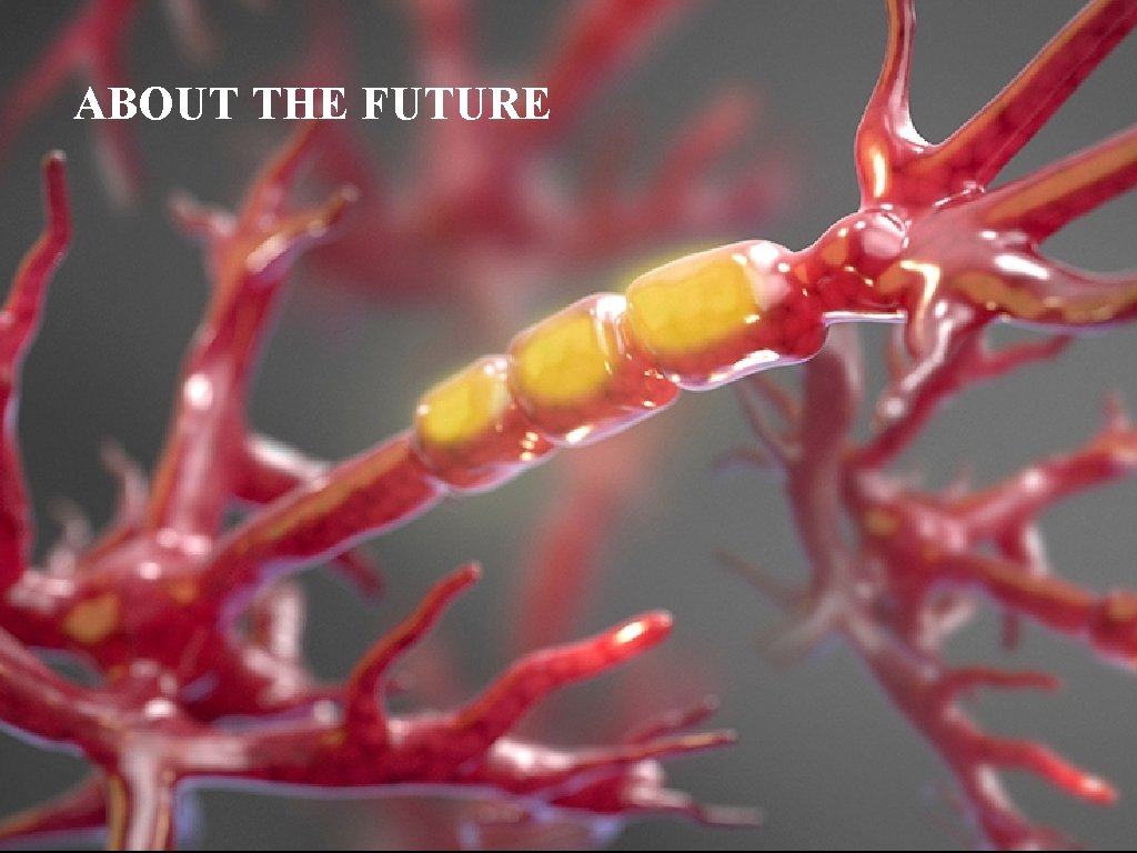 AND SOME WE HOPE ABOUT THE FUTUREWILL MAKE IT THERE 