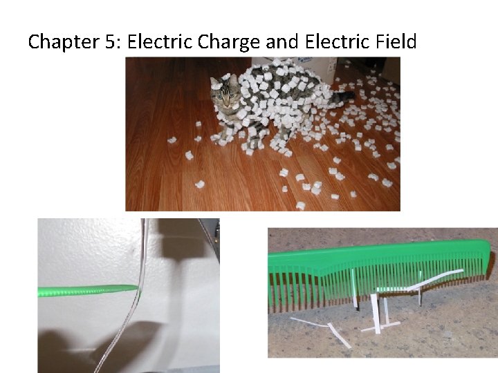 Chapter 5: Electric Charge and Electric Field 