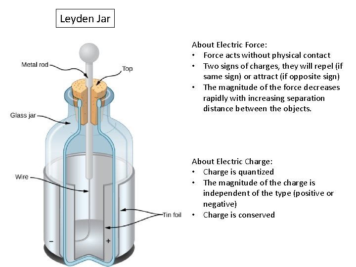 Leyden Jar About Electric Force: • Force acts without physical contact • Two signs