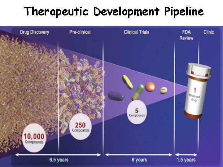 Therapeutic Development Pipeline 