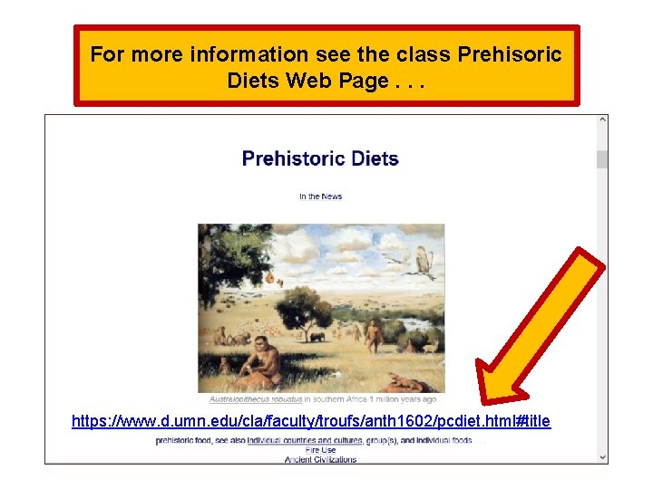 For more information see the class Prehisoric Diets Web Page. . . https: //www.