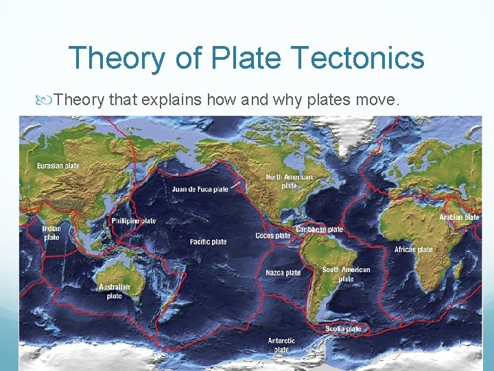 Theory of Plate Tectonics Theory that explains how and why plates move. 