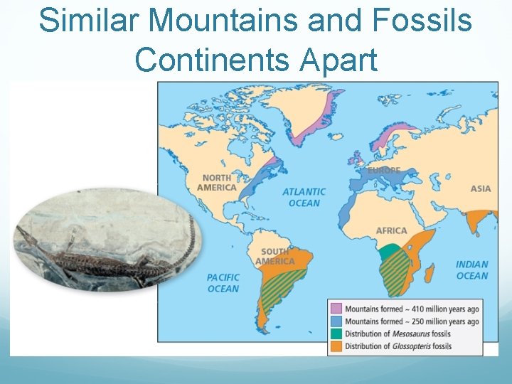 Similar Mountains and Fossils Continents Apart 