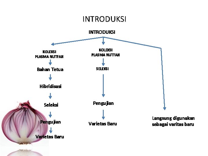 INTRODUKSI KOLEKSI PLASMA NUTFAH Bahan Tetua KOLEKSI PLASMA NUTFAH SELEKSI Hibridisasi Seleksi Pengujian Varietas