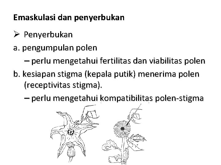 Emaskulasi dan penyerbukan Ø Penyerbukan a. pengumpulan polen – perlu mengetahui fertilitas dan viabilitas