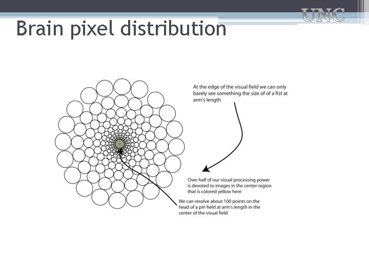 Brain pixel distribution Ideally get information into every brain pixel 