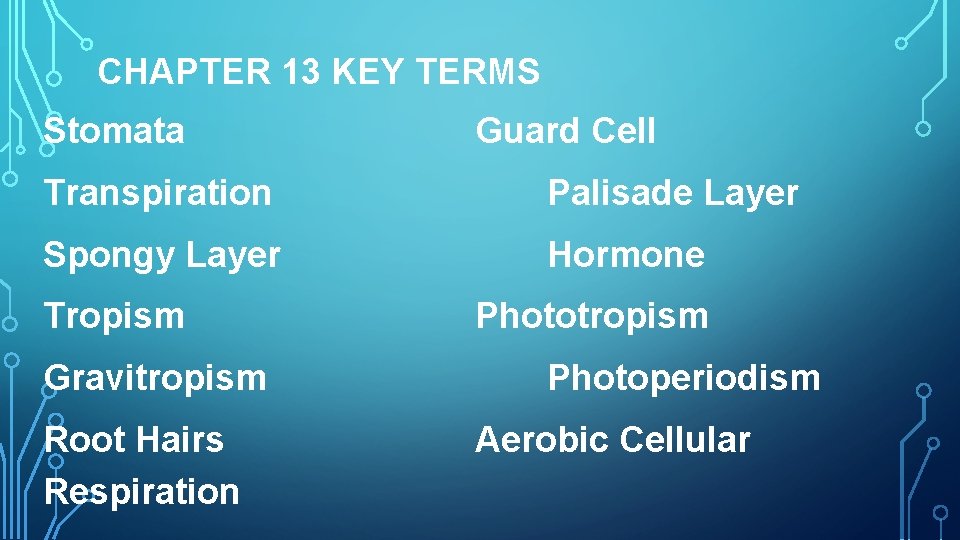 CHAPTER 13 KEY TERMS Stomata Guard Cell Transpiration Palisade Layer Spongy Layer Hormone Tropism