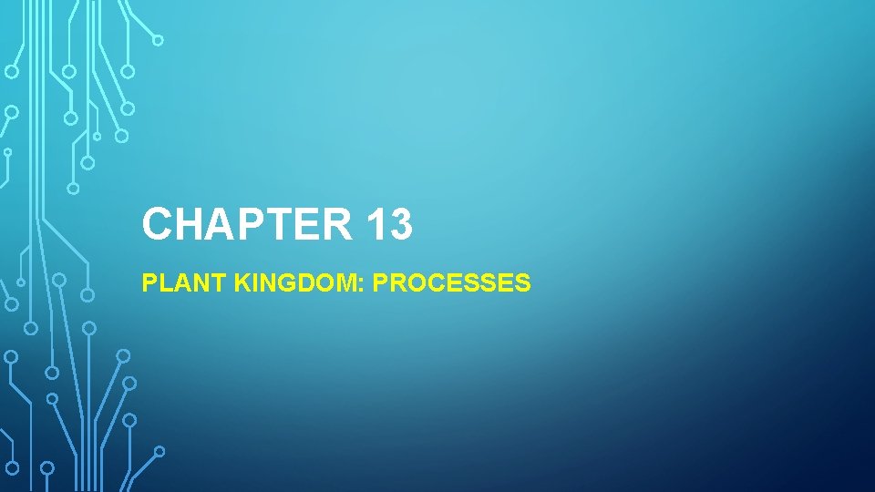 CHAPTER 13 PLANT KINGDOM: PROCESSES 