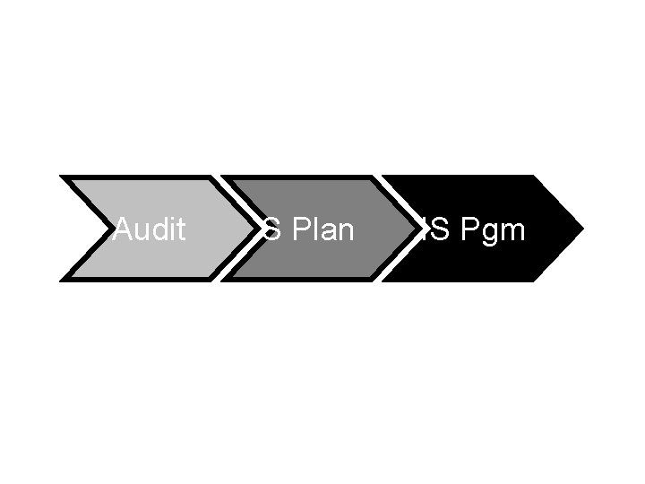 Audit IS Plan IS Pgm 