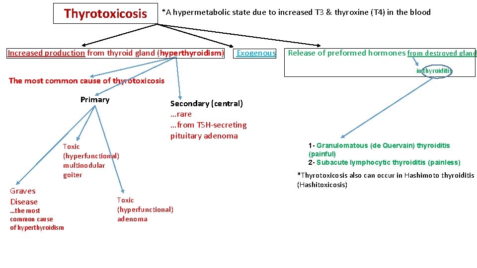Thyrotoxicosis *A hypermetabolic state due to increased T 3 & thyroxine (T 4) in