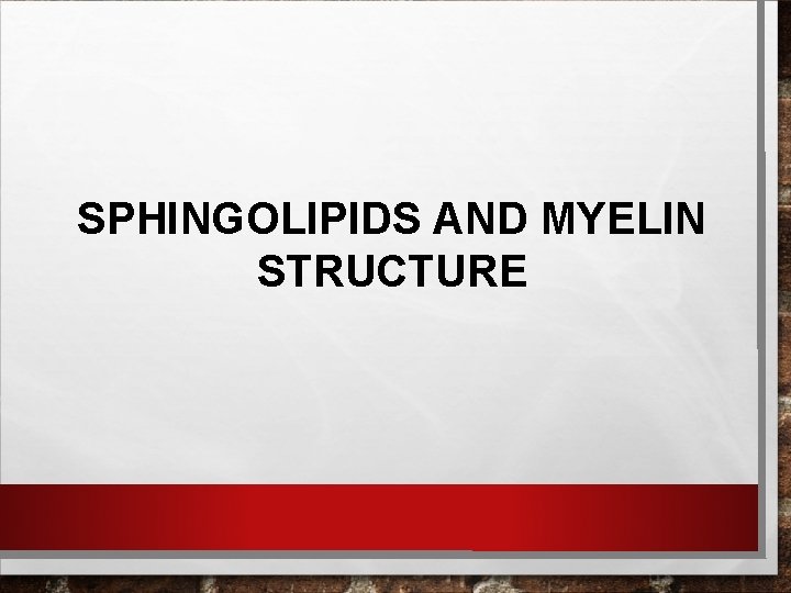 SPHINGOLIPIDS AND MYELIN STRUCTURE 