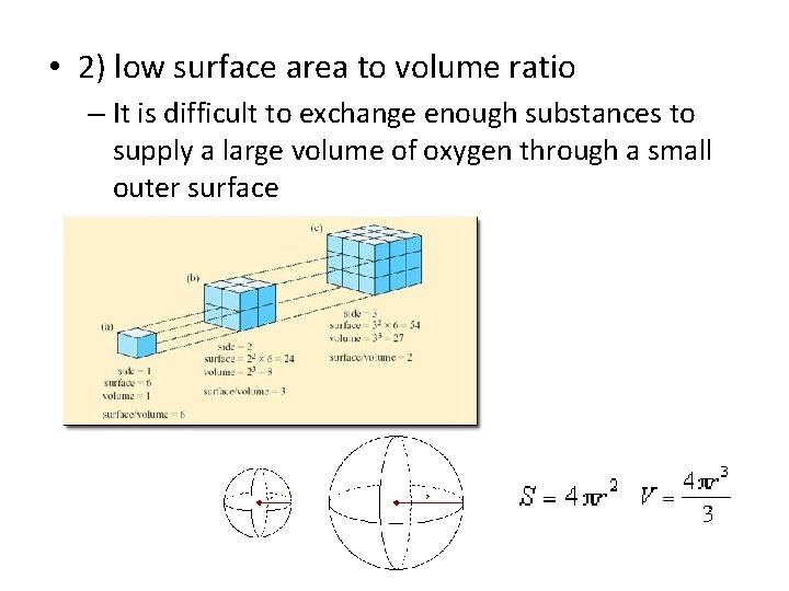  • 2) low surface area to volume ratio – It is difficult to