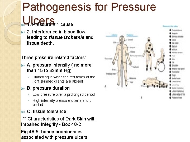 Pathogenesis for Pressure Ulcers 1. Pressure # 1 cause 2. Interference in blood flow
