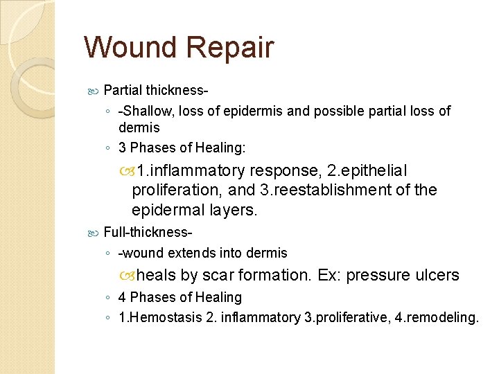 Wound Repair Partial thickness◦ -Shallow, loss of epidermis and possible partial loss of dermis