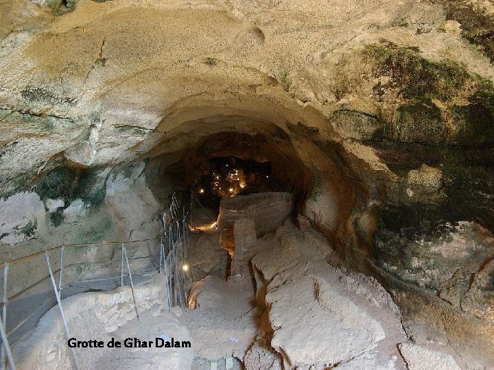 Għar Dalam la grotte obscure est une grotte située dans l'Est de l'île de