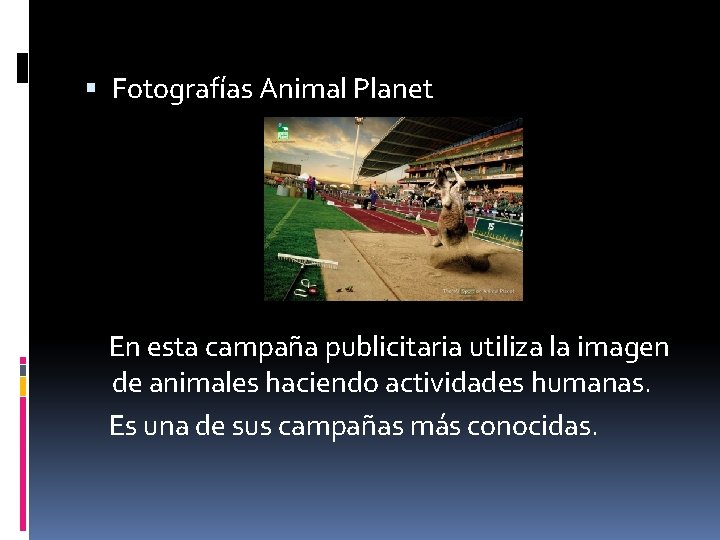  Fotografías Animal Planet En esta campaña publicitaria utiliza la imagen de animales haciendo