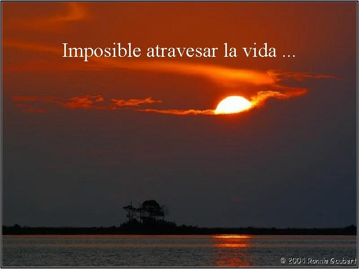 Imposible atravesar la vida. . . 