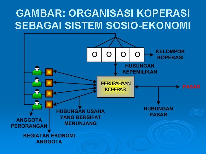 GAMBAR: ORGANISASI KOPERASI SEBAGAI SISTEM SOSIO-EKONOMI 