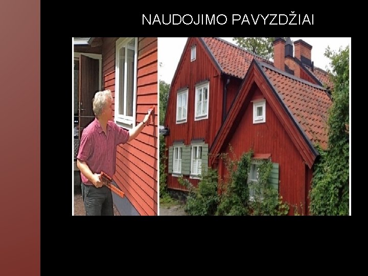 NAUDOJIMO PAVYZDŽIAI 