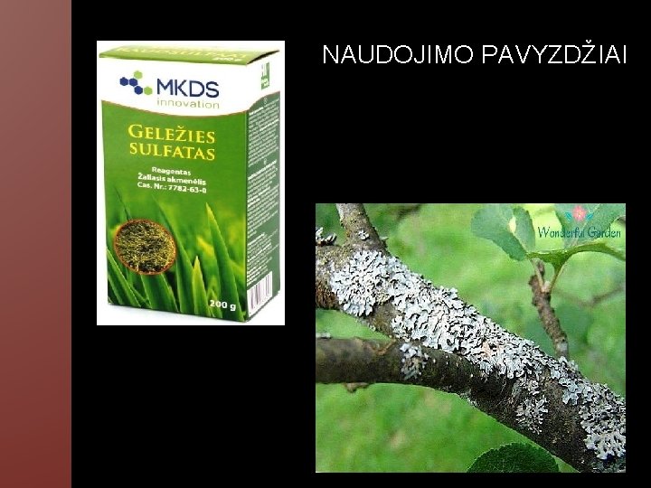 NAUDOJIMO PAVYZDŽIAI 