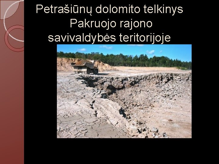 Petrašiūnų dolomito telkinys Pakruojo rajono savivaldybės teritorijoje 