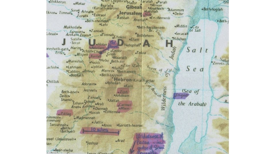 Abigail A woman of good understanding Beautiful countenance