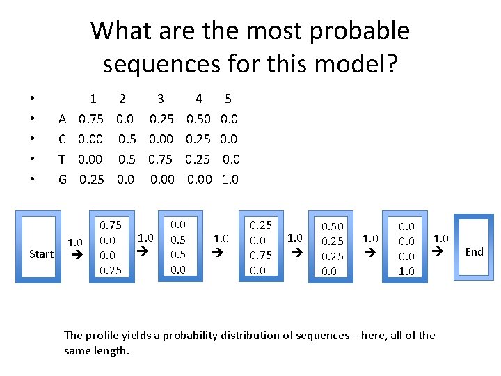 What are the most probable sequences for this model? Start A C T G