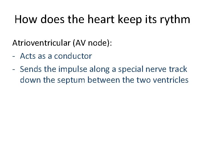 How does the heart keep its rythm Atrioventricular (AV node): - Acts as a