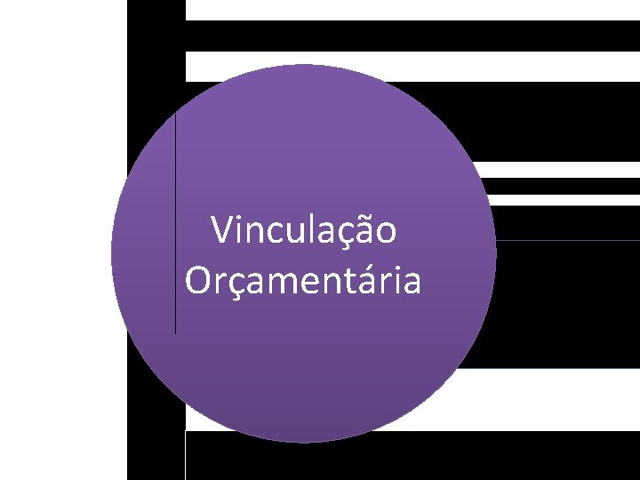 Vinculação Orçamentária 